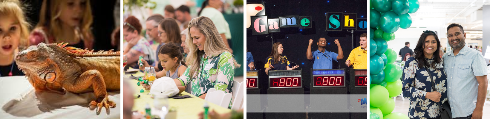 Collage of photos to promote annual Always Greener themed event 